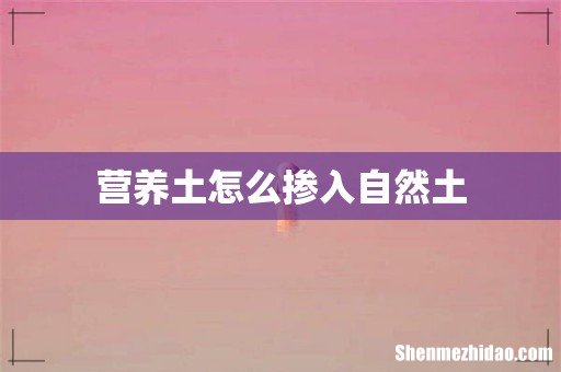 营养土怎么掺入自然土