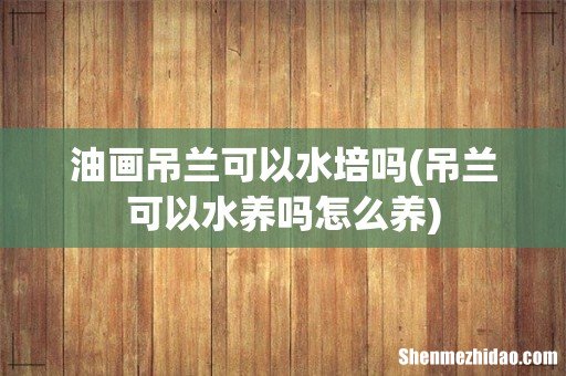 吊兰可以水养吗怎么养 油画吊兰可以水培吗