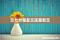 三七分是左三还是右三