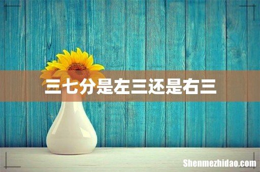 三七分是左三还是右三