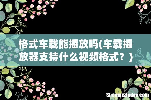车载播放器支持什么视频格式? 格式车载能播放吗