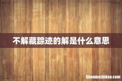 不解藏踪迹的解是什么意思