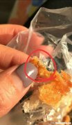 面包店里虫子怎么处理 面包店里虫子怎么处理的