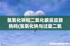氢氧化钠与过量二氧化碳反应 氢氧化钠和二氧化碳反应放热吗