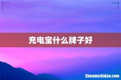 充电宝什么牌子好