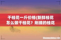 新鲜桂花怎么做干桂花？刚摘的桂花怎么处理成干桂花？ 干桂花一斤价格