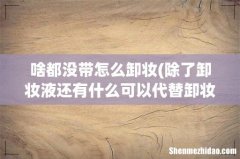 除了卸妆液还有什么可以代替卸妆液卸妆 多介绍几个办法 用于紧急情况 啥都没带怎么卸妆