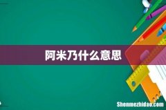 阿米乃什么意思