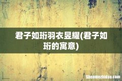 君子如珩的寓意 君子如珩羽衣昱耀