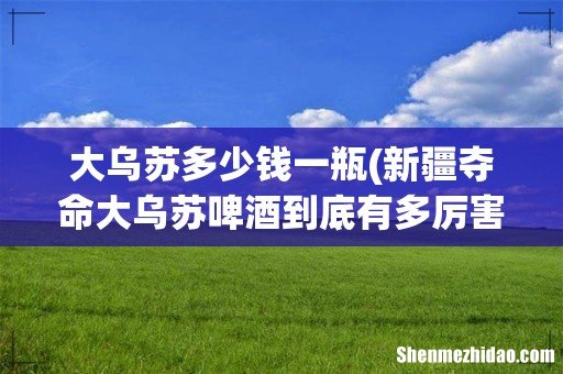 新疆夺命大乌苏啤酒到底有多厉害? 大乌苏多少钱一瓶