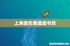 上海虞氏集团虞书欣