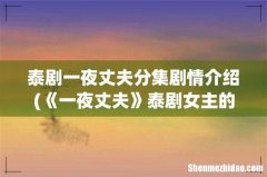 《一夜丈夫》泰剧女主的孩子是谁的？ 泰剧一夜丈夫分集剧情介绍