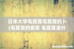 毛茸茸的意思 毛茸茸是什么意思 日本大学毛茸茸毛茸茸的卜