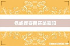 铁线莲喜阴还是喜阳