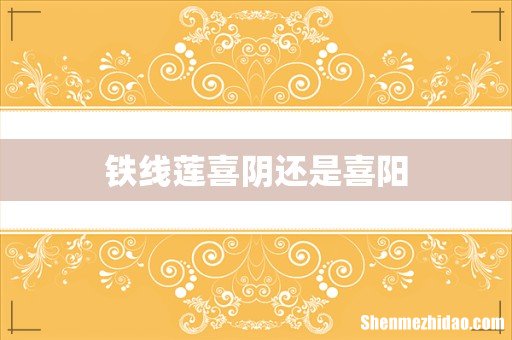 铁线莲喜阴还是喜阳