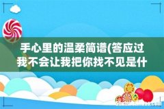 答应过我不会让我把你找不见是什么歌的 手心里的温柔简谱