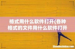 各种格式的文件用什么软件打开 格式用什么软件打开