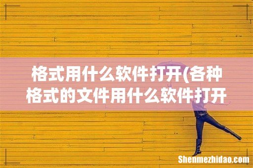 各种格式的文件用什么软件打开 格式用什么软件打开