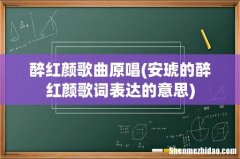 安琥的醉红颜歌词表达的意思 醉红颜歌曲原唱