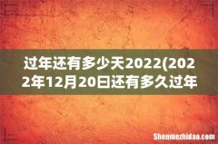 2022年12月20曰还有多久过年 过年还有多少天2022