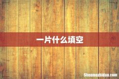 一片什么填空