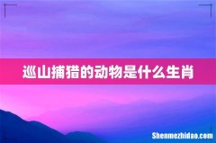 巡山捕猎的动物是什么生肖