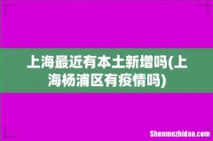 上海杨浦区有疫情吗 上海最近有本土新增吗