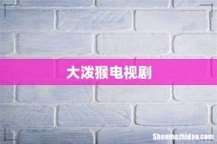 大泼猴电视剧