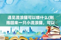 刚抱回来一只小流浪猫，可以喂它吃什么啊？以前没养过小猫、、 遇见流浪猫可以喂什么