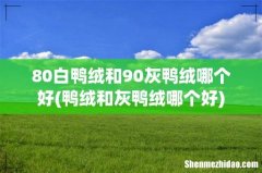 鸭绒和灰鸭绒哪个好 80白鸭绒和90灰鸭绒哪个好