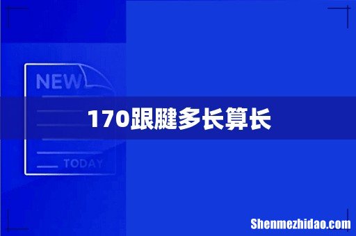 170跟腱多长算长