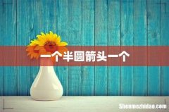 一个半圆箭头一个