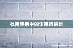 杜甫望岳中的岱宗指的是