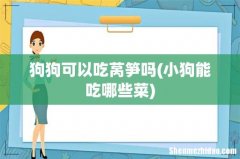 小狗能吃哪些菜 狗狗可以吃莴笋吗