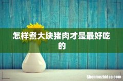 怎样煮大块猪肉才是最好吃的