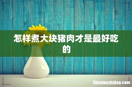 怎样煮大块猪肉才是最好吃的