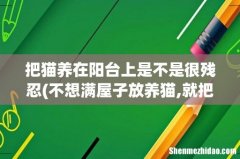 不想满屋子放养猫,就把猫关在阳台上养可以吗-给它点玩具 把猫养在阳台上是不是很残忍