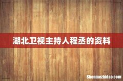 湖北卫视主持人程丞的资料