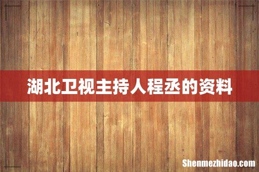 湖北卫视主持人程丞的资料