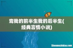 经典言情小说 鸾我的前半生我的后半生