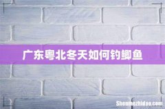 广东粤北冬天如何钓鲫鱼