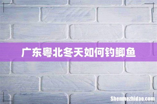 广东粤北冬天如何钓鲫鱼