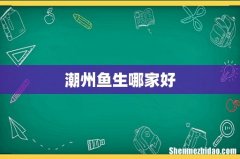 潮州鱼生哪家好