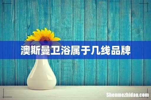 澳斯曼卫浴属于几线品牌