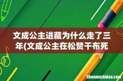 文成公主在松赞干布死了以后，为什么要选择继续留在西藏？ 文成公主进藏为什么走了三年