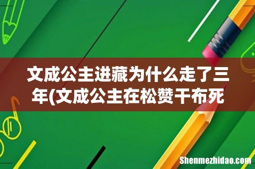 文成公主在松赞干布死了以后,为什么要选择继续留在西藏? 文成公主进藏为什么走了三年