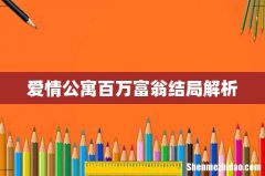 爱情公寓百万富翁结局解析