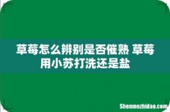 草莓怎么辨别是否催熟 草莓用小苏打洗还是盐