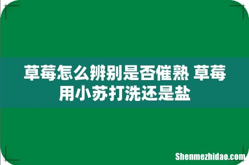 草莓怎么辨别是否催熟 草莓用小苏打洗还是盐