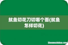 鱿鱼怎样切花 鱿鱼切花刀切哪个面